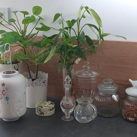 La Maison Bleue, A 20 Mn De Strasbourg, Sur La Route Des Vins, Jusqu'A 6 Personnes, セレスタ エクステリア 写真