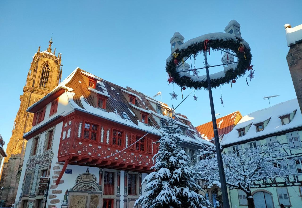 La Maison Bleue, A 20 Mn De Strasbourg, Sur La Route Des Vins, Jusqu'A 6 Personnes, セレスタ エクステリア 写真