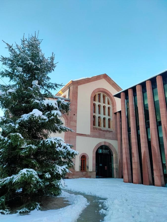 La Maison Bleue, A 20 Mn De Strasbourg, Sur La Route Des Vins, Jusqu'A 6 Personnes, セレスタ エクステリア 写真