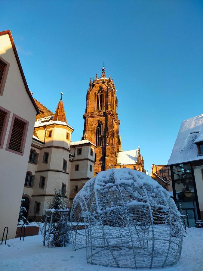 La Maison Bleue, A 20 Mn De Strasbourg, Sur La Route Des Vins, Jusqu'A 6 Personnes, セレスタ エクステリア 写真