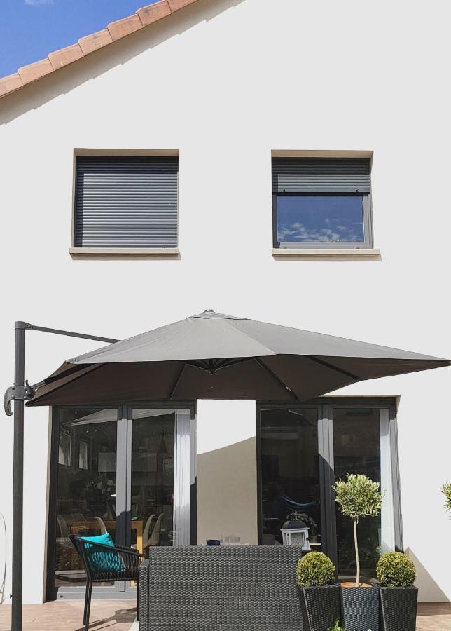 La Maison Bleue, A 20 Mn De Strasbourg, Sur La Route Des Vins, Jusqu'A 6 Personnes, セレスタ エクステリア 写真