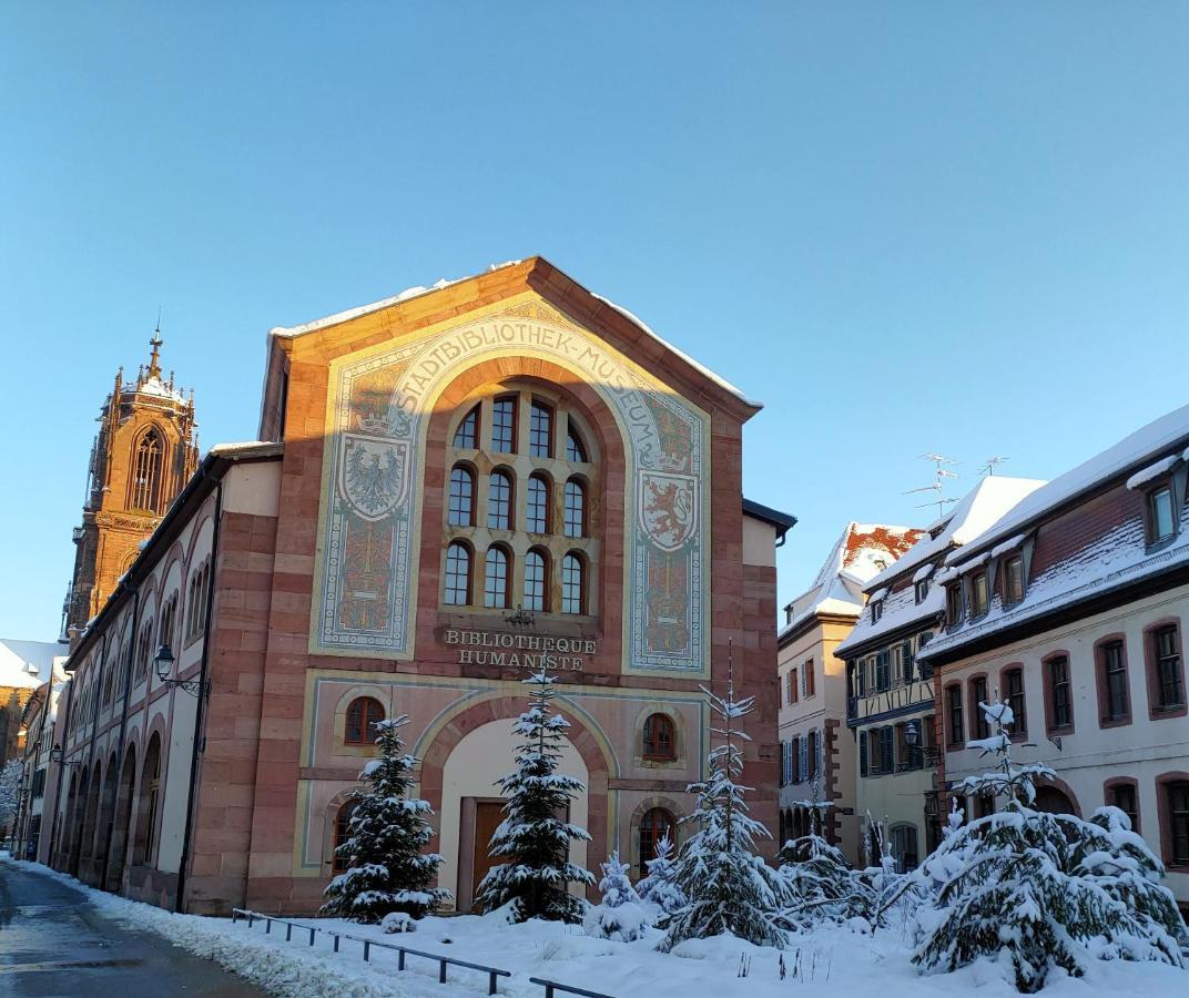 La Maison Bleue, A 20 Mn De Strasbourg, Sur La Route Des Vins, Jusqu'A 6 Personnes, セレスタ エクステリア 写真